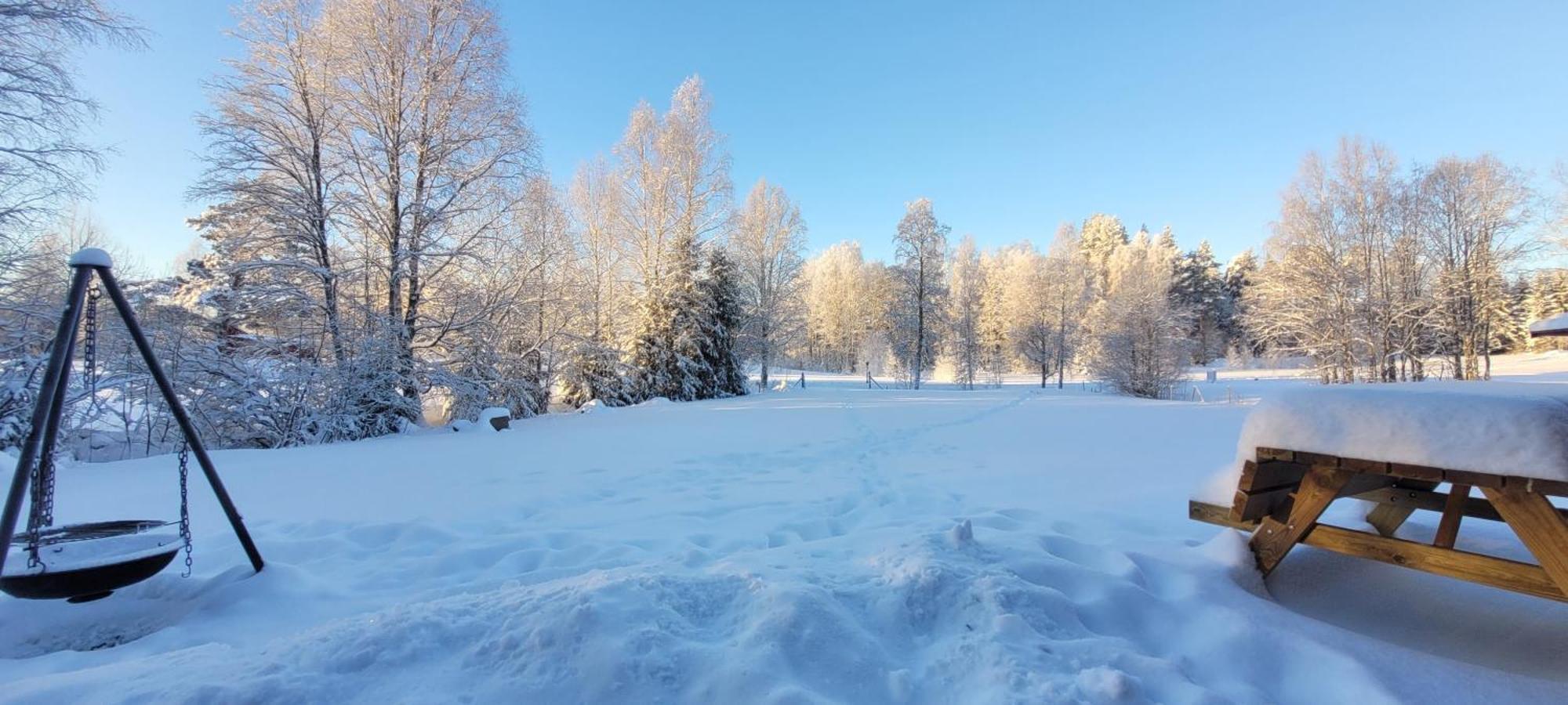 Nygard Cabins - Brandnew, Fully Equipped Home In Nature スンネ エクステリア 写真